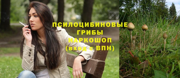 COCAINE Бородино