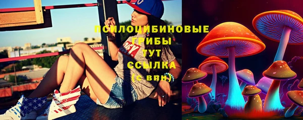 COCAINE Бородино