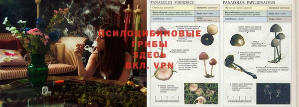 MESCALINE Сафоново